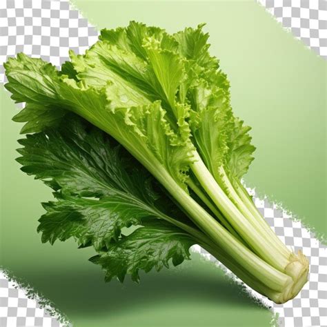 celeri psd   modeles psd gratuits de haute qualite  telecharger