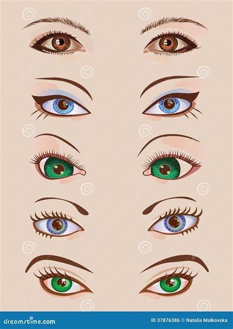 Design Set Of Five Pairs Of Female Eyes Stock Vector Illustration Of