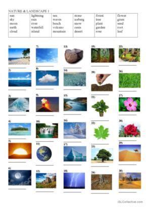 214 Nature English ESL Worksheets Pdf Doc