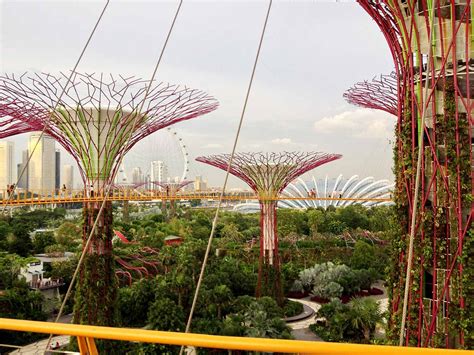 Walking Along The Ocbc Skyway Suspended Amongst Supertree Grove A