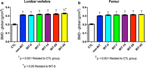 A Quantification Of BMD Values In The Lumbar Vertebra And B In The