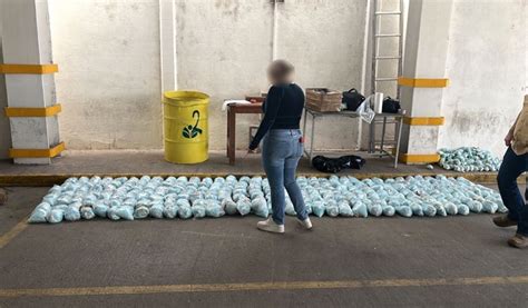 Comunicado FGR 579 22 FGR Asegura Aproximadamente 300 Kilos De Una