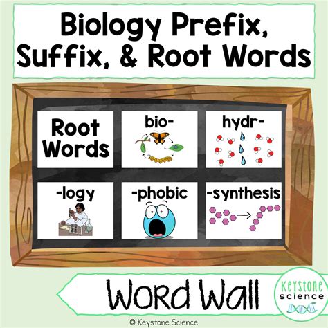 Science Word Wall Prefix Suffix And Root Word Vocabulary Terms