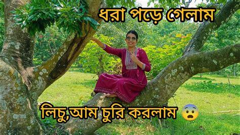 আজ বাড়িতে অনেক লোকজন আসলো। সবার সঙ্গে আম বাগান আর লিচু বাগান ঘুরে এলাম