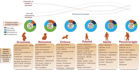 Facteurs modulateurs et évolution de la composition du microbiote