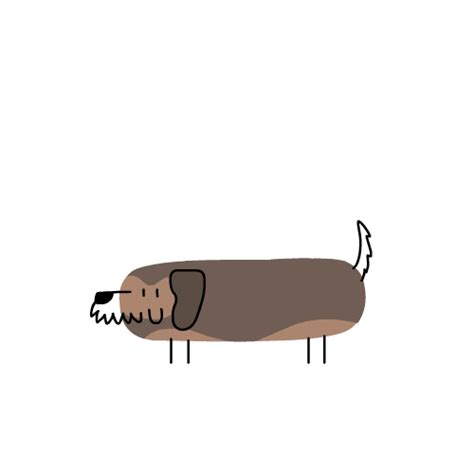 Sausage Dog  By Csak Find And Share On Giphy