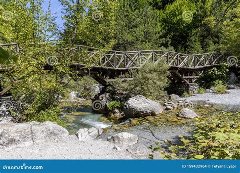 Old Wooden Bridge Over The River In The Forest Stock Photo Image Of