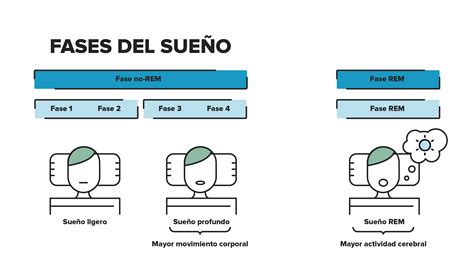 dedo pecador pánico cuales son las fases del sueño comercio Fácil de