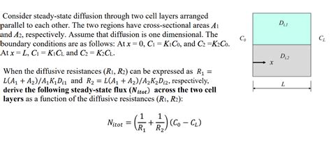 Consider Steady State Diffusion Through Two Cell Chegg