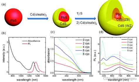 Ag2s Qds，硒化银量子ag2se Qds（近红外二区荧光量子点） Ag2se吸收峰 Csdn博客