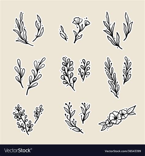 Set Hand Drawn Floral Elements Royalty Free Vector Image