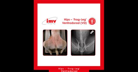 Ventrodorsal Hip Positioning Guide