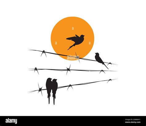 Birds Silhouettes On Wire On Sunset Vector Birds Illustration