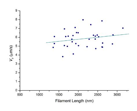 Figure S6 Sliding Velocity Of Individual Filaments Versus The Length Download Scientific