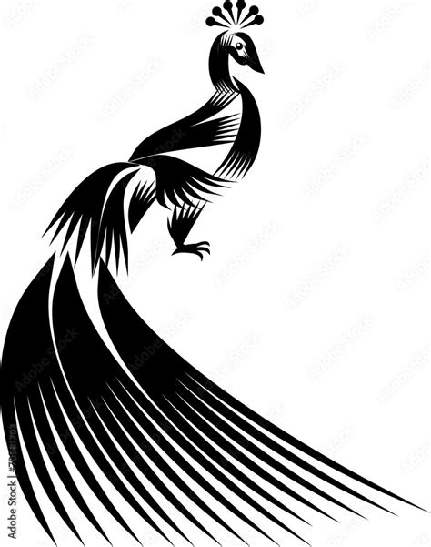 Peacock Vector Black And White