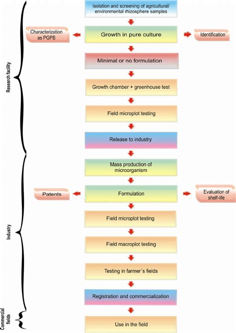 Flow Diagram Of Procedures For Developing Bacterial Inoculants