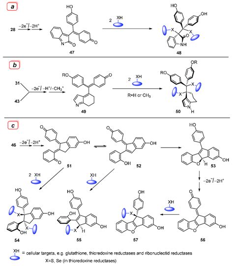 Scheme 8 A C Proposed Redox Based Mechanisms For The Action Of 28