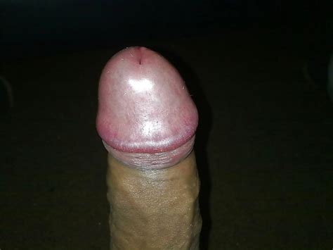 Shemales Mix Porn Pictures XXX Photos Sex Images PICTOA