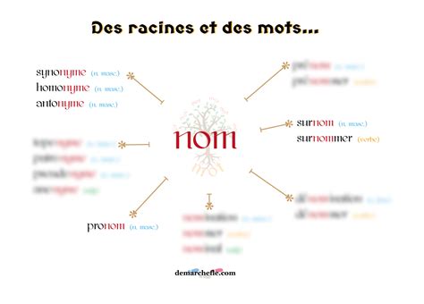 Des racines et des mots 1 version FLE Démarche FLE