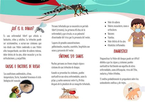 Triptico Sobre El Dengue Images And Photos Finder The Best Porn Website