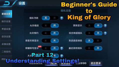 Beginners Guide To King Of Glory Part 12 Understanding Settings