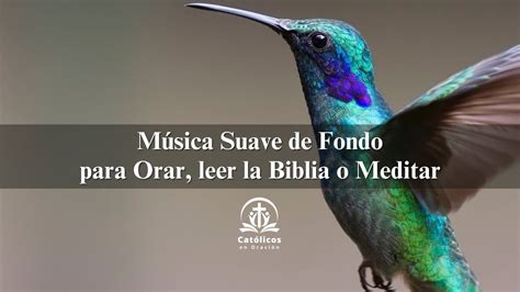 M Sica De Fondo Para Orar Leer La Biblia O Meditar Youtube Music