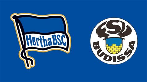 Hertha BSC Fußball Akademie on Twitter Enamel pins