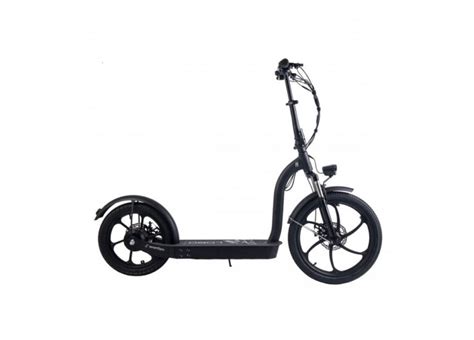 E Scooter Pure Palma On Bike