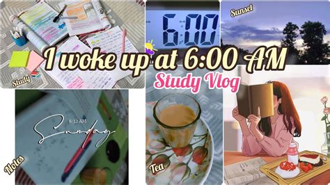 6 Am Productive Study Vlog 📚 🌄🍁 Early Morning Study 🌸🍃🍂 Toppins