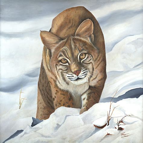 "Snow Cat" (Original art by Robert Chrest Fine Art)