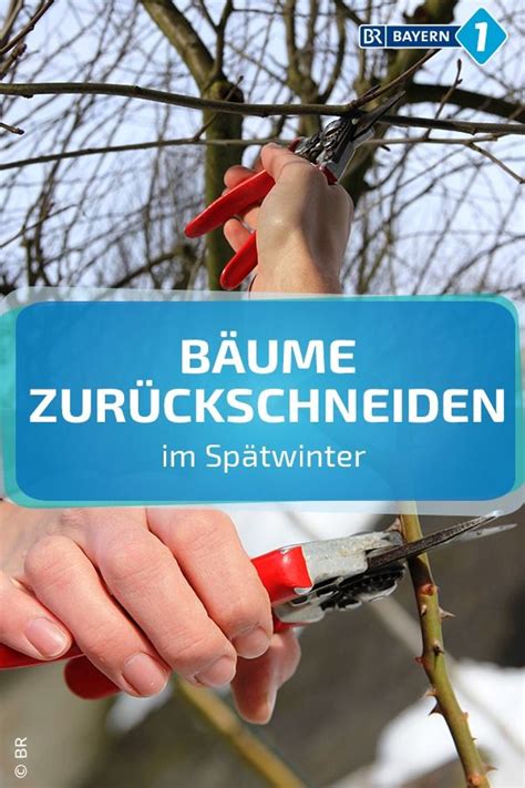 Baumschnitt Bäume zurückschneiden im Spätwinter BR de Baum