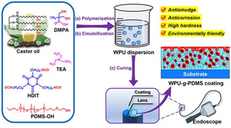 Bio Based Waterborne Polyurethane Coatings With High Transparency