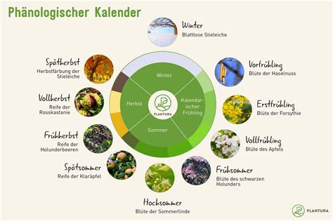 Ph Nologischer Kalender Ihr Gartenkalender Plantura