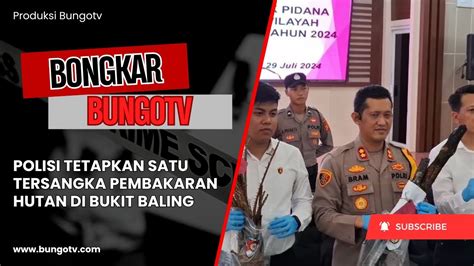 Bongkar Polisi Tetapkan Satu Tersangka Pembakaran Hutan Di Bukit