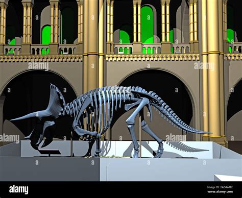 Natural History Museum with dinosaur skeleton Stock Photo - Alamy