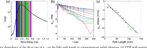 Figure From Time Domain Diffuse Correlation Spectroscopy Semantic