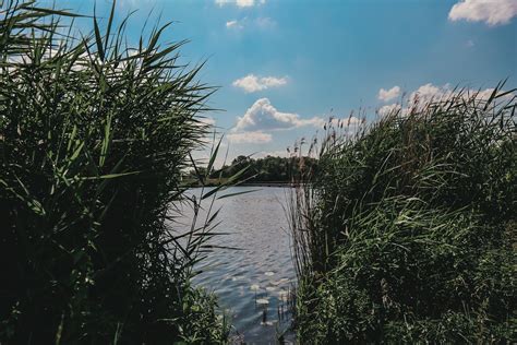 Dove Elbe Hamburgs Bade Perle Geheimtipp Hamburg