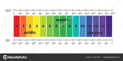 Scale Of Ph Value For Acid And Alkaline Solutions Vector Isolated