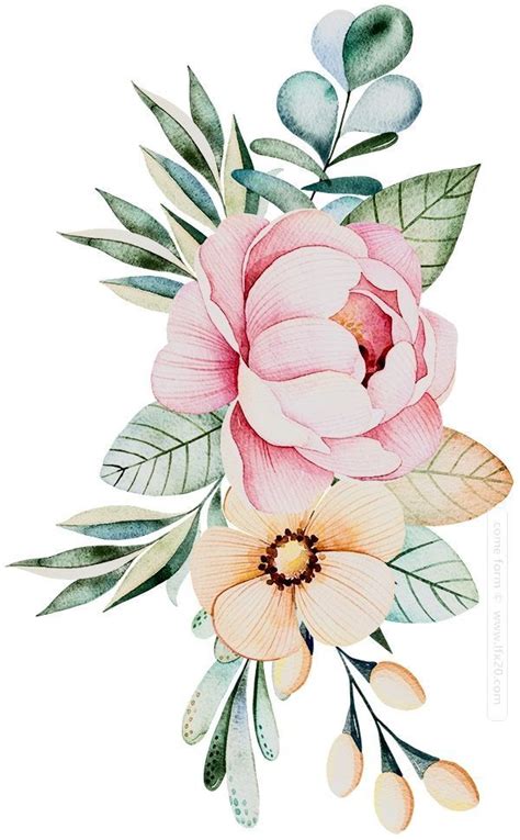 Pin By Cinthia Duim On Wallpapers Watercolor Flower Art Flower Art