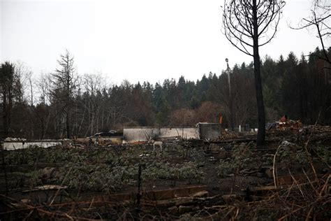 9 Mini Trials Set In Pacificorp Lawsuit Over 2020 Fires