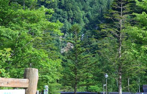 過去の岐阜県の滝（1） 平湯大滝 平湯大滝公園 ・金沢から発信のブログ 風景と花と鳥など