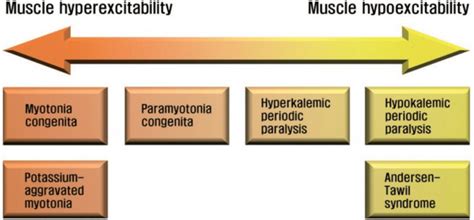 Periodic Paralysis Mepedia