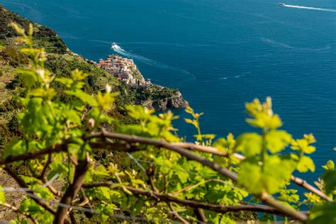 Cinque Terre: self guided hiking 7 nights – Between Portofino and ...