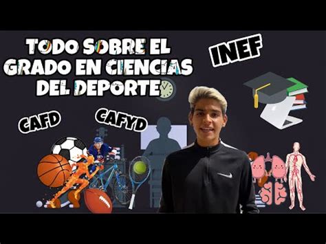 Recomiendo Estudiar La Carrera De Inef Cafyd Asignaturas Salidas