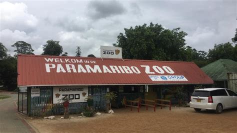 Vista Satelital de Paramaribo Zoo (Zoológico de Paramaribo), Suriname ...