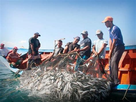 Nortes Benefician A Pescadores Veracruzanos