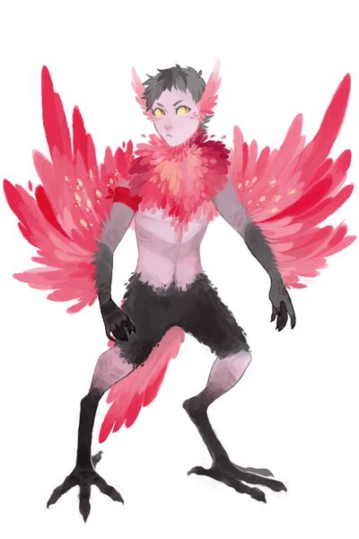 What Is Gay Anime Porn Called Superkera