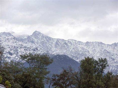 Himachal Pradesh Manali Kufri Get Season S First Snowfall Tourists