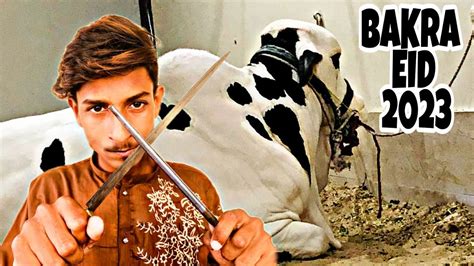 Bakra Eid Bakra Eid First Day Vlog Ghouri Entertainment