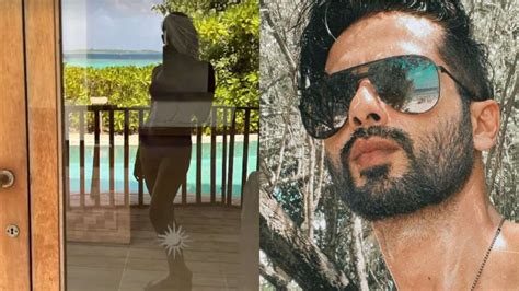 Mira Rajput Shares Stunning Photo In Bikini As Shirtless Shahid Kapoor